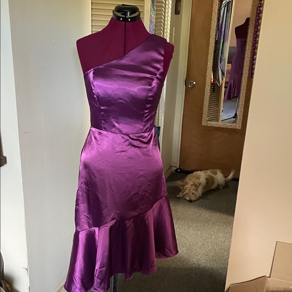 Chic One-Shoulder Purple Dress NWOT